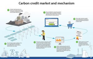 碳信用市場和機(jī)制
