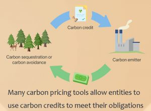 許多碳定價工具允許實體使用碳信用額度來履行其義務(wù)